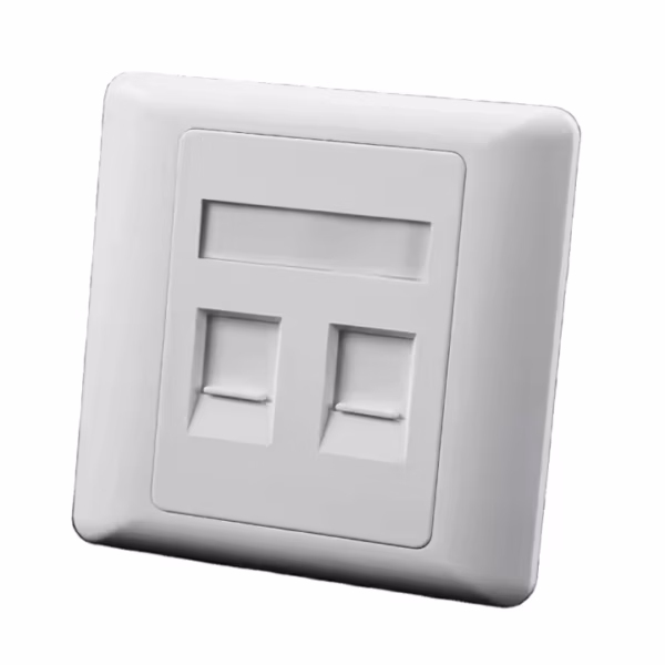 FACEPLATE 2 HOLE